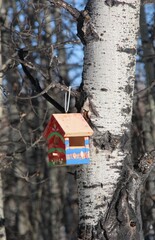 birdhouse on a tree