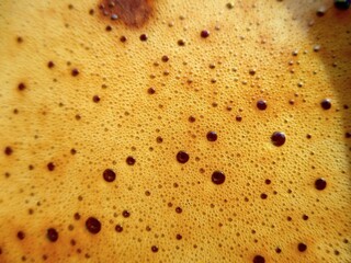 Fond et texture de mousse de café noir