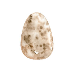 Watercolor quail egg. Hand drawn Easter egg with splash texture illustration isolated on white background. Healthy protein food ingredient