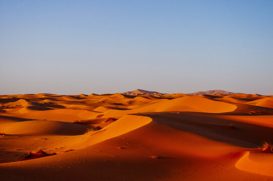 Desert dunes at sunset time with blue sky. © Maria