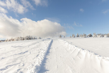 winter mountain landscape. Road that leads into the pine forest covered with snow