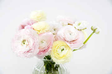 the Bouquet of pale pink and yellow Persian buttercups isolated on pale gray.
