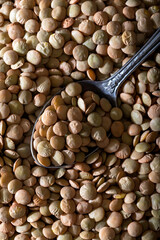 Obraz premium Green lentil in with spoon. Close up. Top view. Food background.
