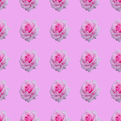 Seamless pattern with roses on pink background.  Photo collage creative design for textile, fashion,  card, wallpaper, fabric, wrapping paper.