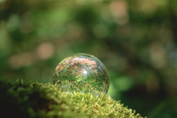 Environment concept, a crystal ball lies on a moss in the forest, reflection of the forest. concept and theme of nature, environmental protection. relaxation. glass material.