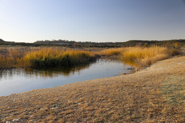 Fototapeta na wymiar A small pond in a Texas prairie with the reflection of autumn colored native grass, in Dana Peak Park Central Texas Hill Country.