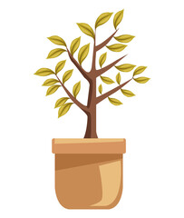 tree plant in ceramic pot icon