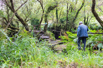 
an older man making a route through the forest.
They follow a hiking route through the Galician forest