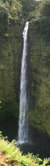 Fototapeta na wymiar Hawaii Waterfall Panorama