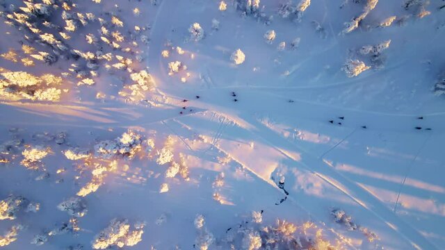 People outdoors doing cross country skiing in a wild snowy winter wonderland.