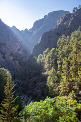 Fototapeta na wymiar View on Canyon With Green Mountain Forest And Bright Sun Light Rays Between Rocks In Turkey.