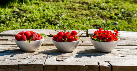 Variety red berries of three varieties lies in white plates on a wooden background in garden