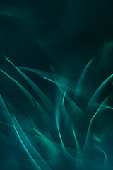 Obraz premium Dark green abstract background for web banner or design element. Soft focus.