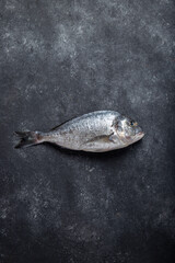 Fresh bream fish on dark background. Copy space, top view