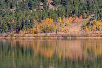 Obraz premium Scenic Reflection Landscape in Two Oceans Lake Wyoming in Autumn