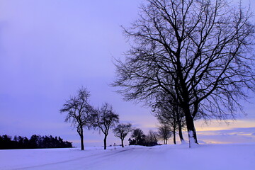 snow landscape in the countryside as the sunset in the distance