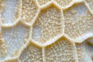 Close up cooked tripe on a white background


