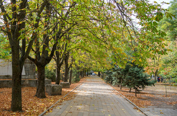   Autumn has come to the city. Gorky Park
