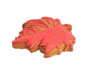 Tasty gingerbread cookie maple leaf isolated on the white