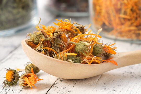57 753 Beste Calendula Bilder Stock Fotos Vektorgrafiken Adobe Stock