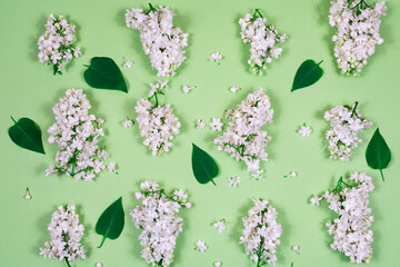 White lilac flowers and green leaves on a light green background. The basis for the postcard. Top...