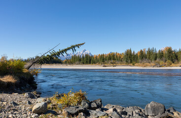 Fototapeta premium Scenic Snake River Wyoming in Autumn