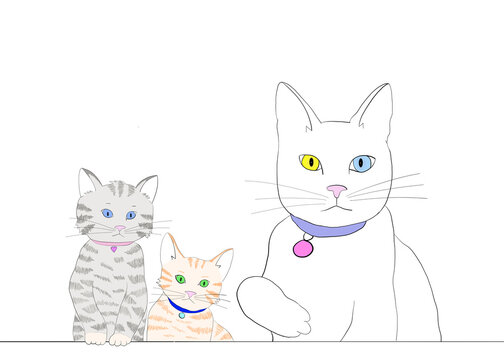 Illustration Of One White Cat With Heterochromia And Tabby Kittens Wearing Colorful Collars, Looking Over Top Of Table, One Kitten Peaking Over The Other With Front Paws On Top Of The Surface.