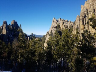 Black Hills View