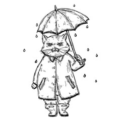 Disgrunled cat in raincoat under the umbrella in the rain.