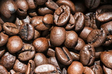 Roast red coffee grains background with detail macro seeds
