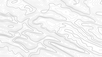 Obraz premium Topographic map lines background. Vector illustration.Abstract pattern with lines