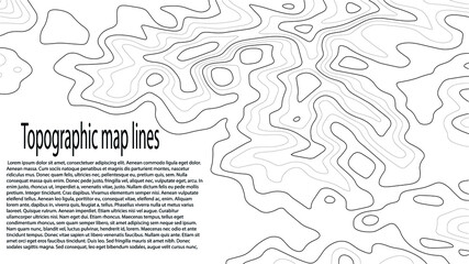 Topographic map lines white background.With text.Vector illustration.