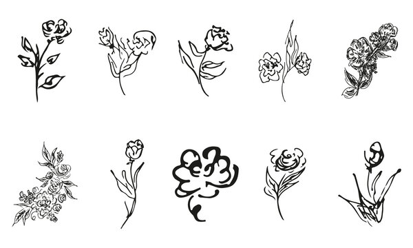 Doodle simple vector collection of 10 hand-drawn roses. Big collection of 10 hand-drawn roses. Big floral botanical set. Isolated on white background.