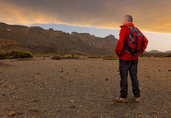 At sunset, a hiker stands on the caldera plain on the volcanic island of Tenerife and looks at the high mountains and clouds. The man is wearing hiking clothes. There are pines bushes everywhere.