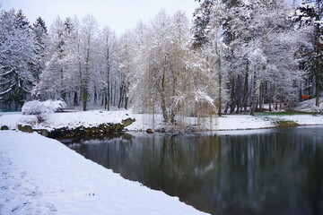 Amazing winter view of the pond. City park in winter scenery. Beautiful little pond in winter.