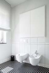 Fototapeta na wymiar White bathroom with bidet and toilet