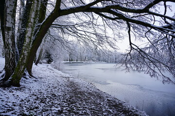 Amazing winter view of the pond. City park in winter scenery. Beautiful little pond in winter.