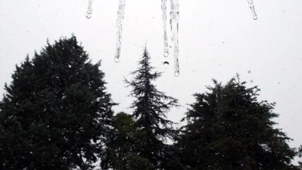 Closeup of icicles and melting snow, water droplets dripping in slow motion.Winter Scene - Slow Motion Snow. - Powered by Adobe