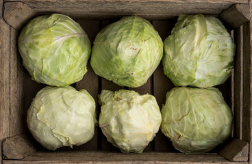 cabbages inside of a box