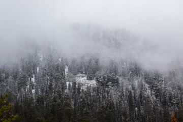 Fototapeta na wymiar Mountain with a morning mist.