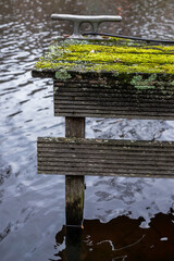 A mooring on old wooden dock covered with green lichen