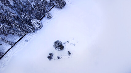 Aerial drone view of winter forest and frozen pond.