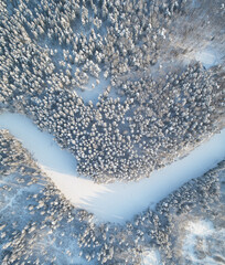 Winter forest with frozen river
