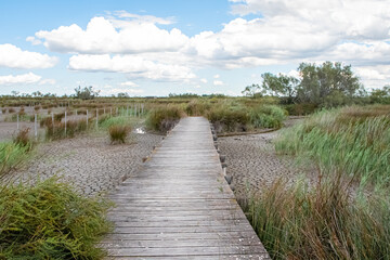 Fototapeta na wymiar Vue d'un sentier au milieu des étangs et des marais en Camargue, réserve naturelle protégée du sud de la France.
