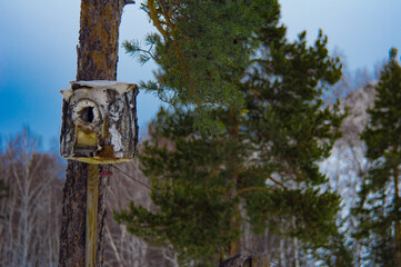 birdhouse in the mountains