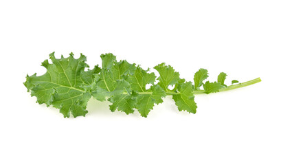 kale leaves isolated on white