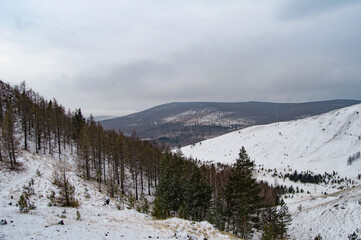 winter landscape with snow
