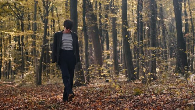 Walking With Her Dog In Woods And Nature Having Fun Woman Sunglasses Young Portrait Beautiful Smile Glasses Beauty Child Happy Face Fashion Teen Brunette Person Cute People Park Summer One Smiling Out