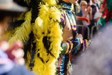 Dancers wearing colorful feathers costumes gathered for a parade. Back view blurry defocused...