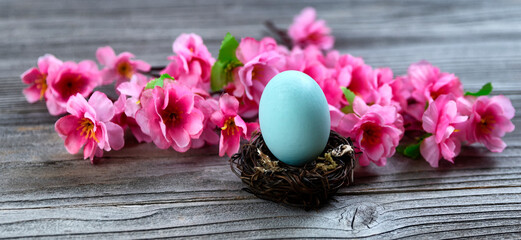 Select focus of a standing blue egg in nest with bright springtime pink cherry blossoms and rustic wood in background